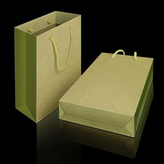 手提袋印刷效果圖—二